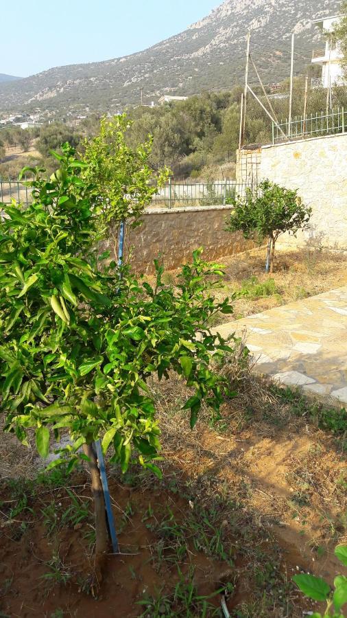 Εξωτικο Διαμερισμα Με Θεα Την Παραλια Αλυκης Villa Alikí Екстериор снимка